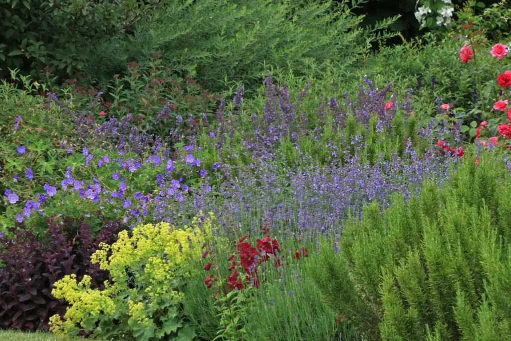 Planting Consultation buckinghamshire